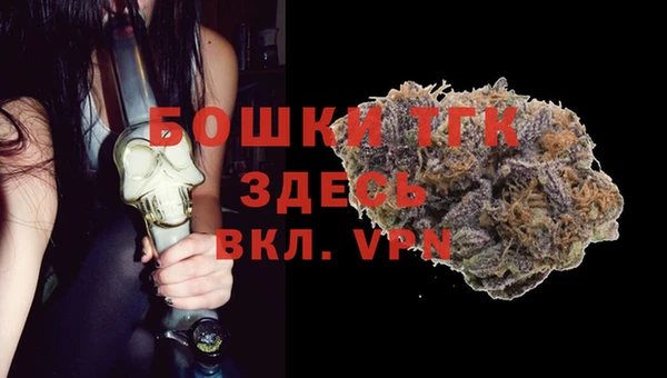 гидра Белоозёрский