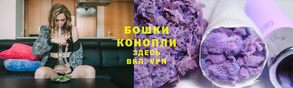 гидра Белоозёрский