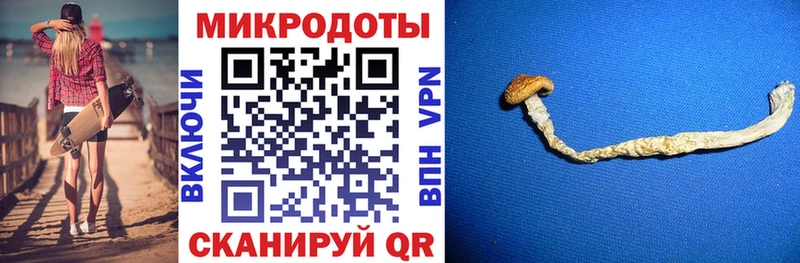Псилоцибиновые грибы Psilocybine cubensis  darknet телеграм  Ворсма 